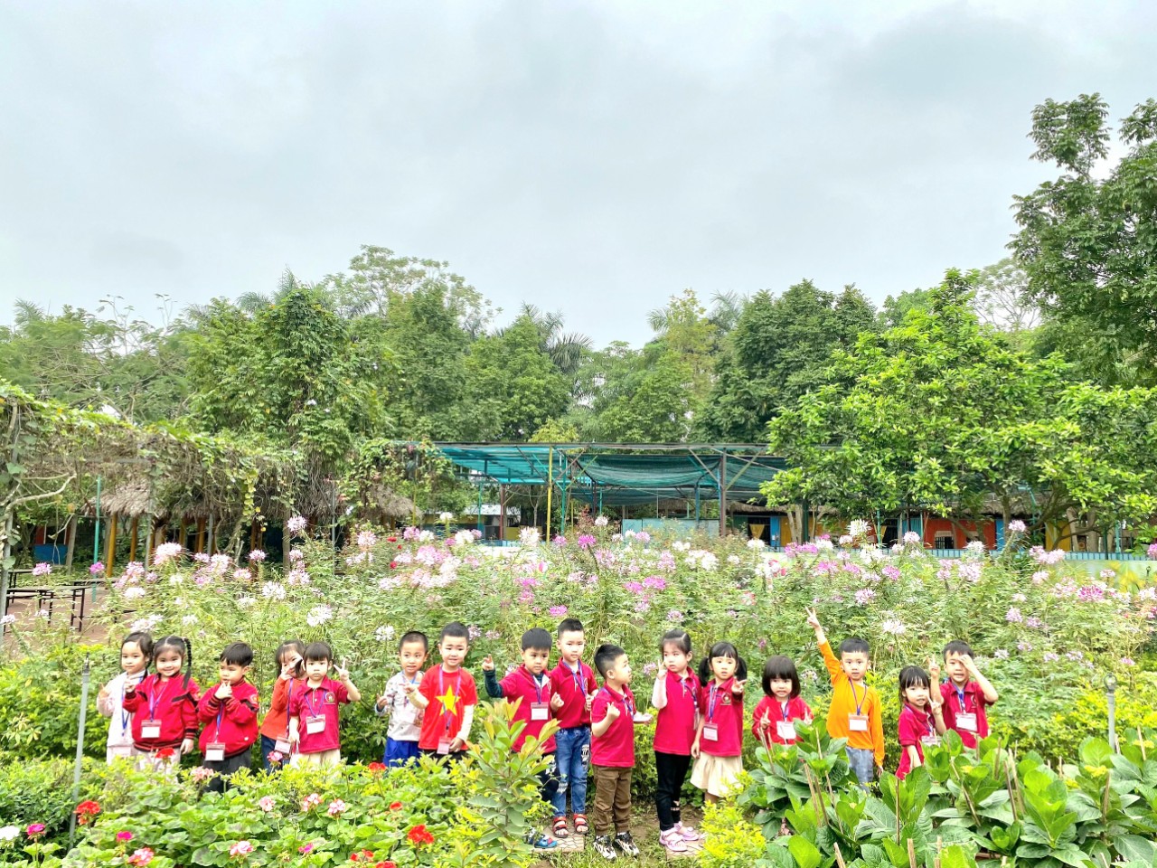 vanan29
